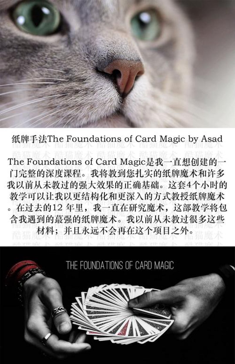 牌技教学